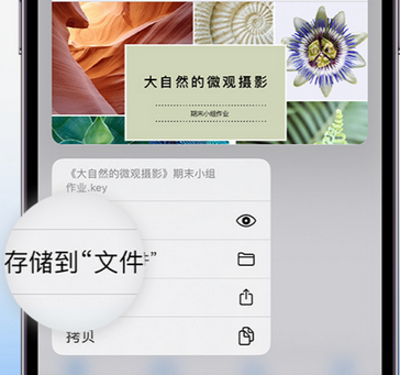 霍邱apple维修中心分享iPhone文件应用中存储和找到下载文件