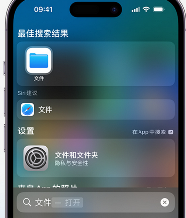 霍邱apple维修中心分享iPhone文件应用中存储和找到下载文件