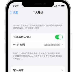 霍邱apple服务站点分享iPhone上个人热点丢失了怎么办