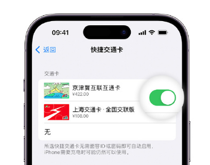 霍邱apple维修点分享iPhone上更换Apple Pay快捷交通卡手绘卡面 