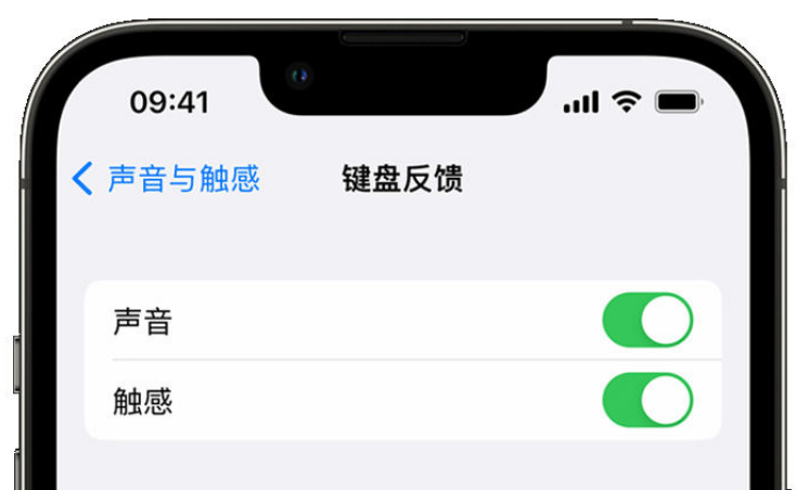 霍邱苹果手机维修分享iPhone 14触感键盘使用方法 