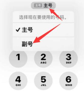 霍邱苹果14维修店分享iPhone 14 Pro Max使用副卡打电话的方法 