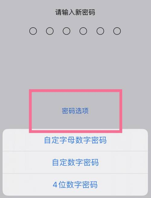 霍邱苹果14维修分享iPhone 14plus设置密码的方法 