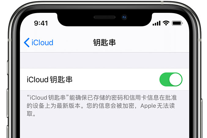 霍邱苹果手机维修分享在 iPhone 上开启 iCloud 钥匙串之后会储存哪些信息 