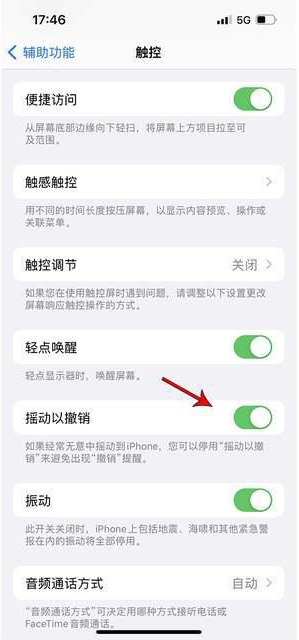 霍邱苹果手机维修分享iPhone手机如何设置摇一摇删除文字 